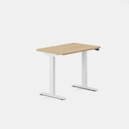 Duo Standing Desk - Ergonomic Workspace